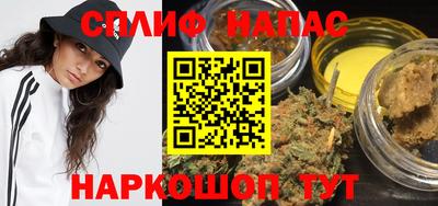 ешки Гай
