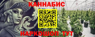 ешки Гай