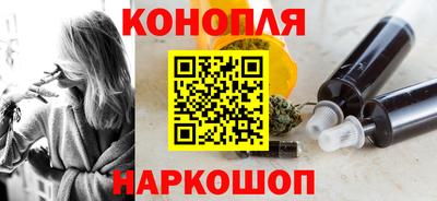 ешки Гай